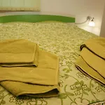 Stanchevata Kashta Guest house 3*