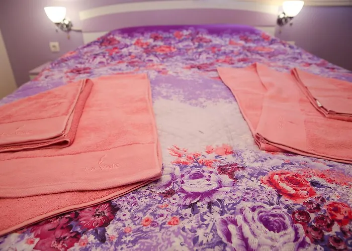 Guest house Stanchevata Kashta 3*